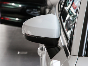 2019Limousine 35 TFSI\(yn)(dng) V (x)(ji)^