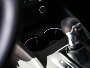 2019Limousine 35 TFSI\(yn)(dng) V п؅^(q)