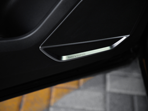 201945 TFSI  quattroAӸ g