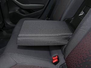 2020Ŀ Limousine 35 TFSI M(jn)ȡ (gu)VI 