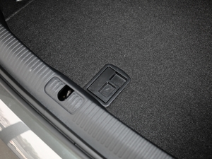 202045 TFSI quattro xӸ g