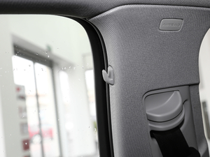 202045 TFSI quattro xӸ g