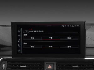 202045 TFSI quattro xӸ п؅^