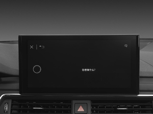 202045 TFSI quattro xӸ п؅^