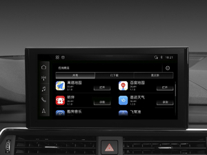 202045 TFSI quattro xӸ п؅^