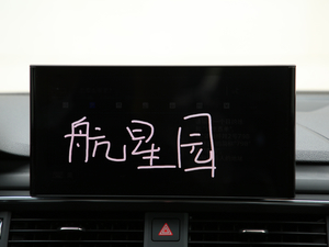 202045 TFSI quattro x(dng) 