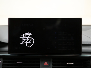 202045 TFSI quattro x(dng) 