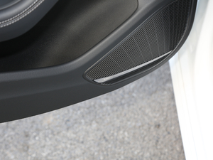 202045 TFSI quattro x g