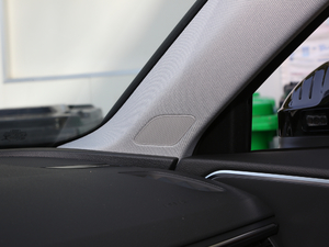 202045 TFSI quattro x g