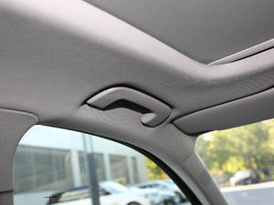 202045 TFSI quattro x g