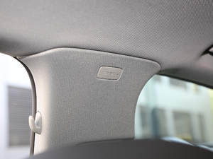 202045 TFSI quattro x g