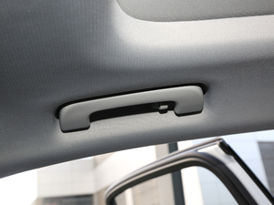 202045 TFSI quattro x g