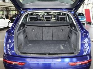 202040 TFSI sM(jn)ȡ g