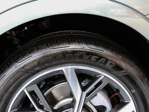 202040 TFSI r ݆̥Ʒ