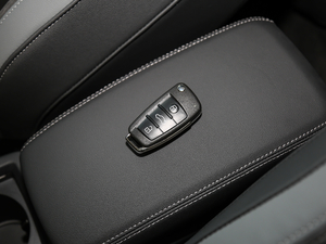 202040 TFSI r(sh) ܇耳