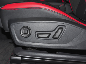 202045 TFSI quattro r g