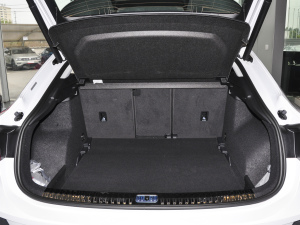 202045 TFSI quattro r g