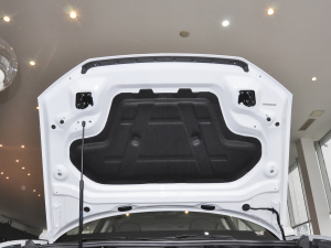 202045 TFSI quattro r 