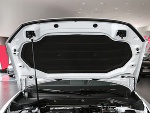 202035TFSI M(jn)ȡ(dng) 