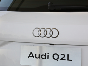 2020款35TFSI 豪华致雅型 细节外观