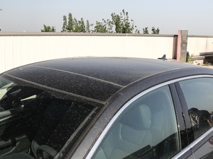 202055 TFSI quattro Ӹ ܇