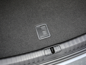 202055 TFSI quattro Ӹ g