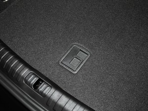 202045 TFSI quattro Ӹ g