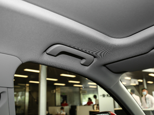 202045 TFSI quattro rЄӸ g