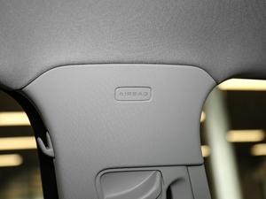 202045 TFSI quattro rЄӸ g