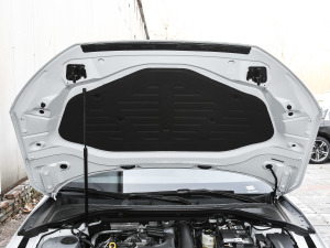 2021Sportback 35 TFSI M(jn)ȡ 