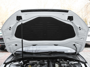 2021Sportback 35 TFSI M(jn)ȡ\(yn)(dng) 