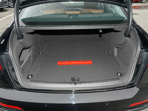 202145 TFSI x(dng) g