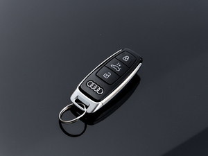 202145 TFSI quattroxӸ ܇耳