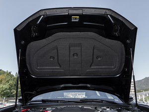 202145 TFSI quattroxӸ 