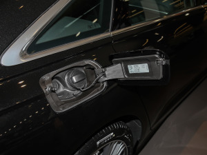 202155 TFSI quattro Ş(dng) w