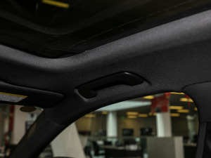 202155 TFSI quattro ŞӸ g