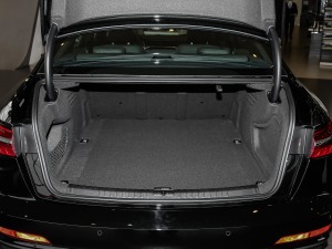 202155 TFSI quattro ŞӸ g