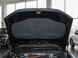 202155 TFSI quattro ŞӸ 