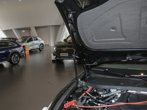 202155 TFSI quattro ŞӸ 