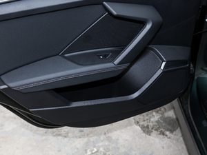 2021A3L Limousine 35 TFSI r\ g