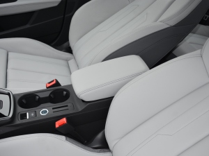 2021A3L Limousine 35 TFSI A 