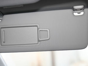 202145 TFSI quattro rЄӸ g