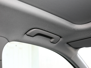 202145 TFSI quattro rЄӸ g