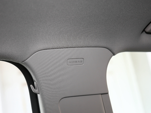 202145 TFSI quattro rЄӸ g