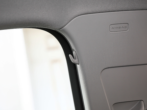 202145 TFSI quattro rЄӸ g