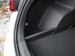 202145 TFSI quattro rЄӸ g