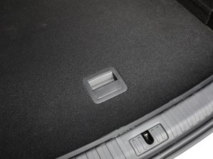 202145 TFSI quattro rЄӸ g