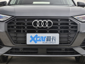 2021款35 TFSI 进享人生版 中网