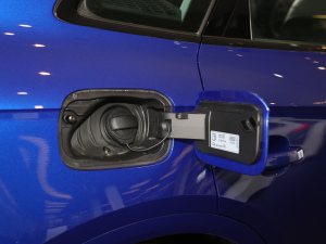 202145 TFSI A(dng) w