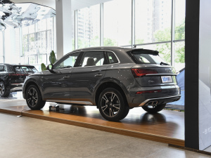 202140 TFSI rЄӸ 45